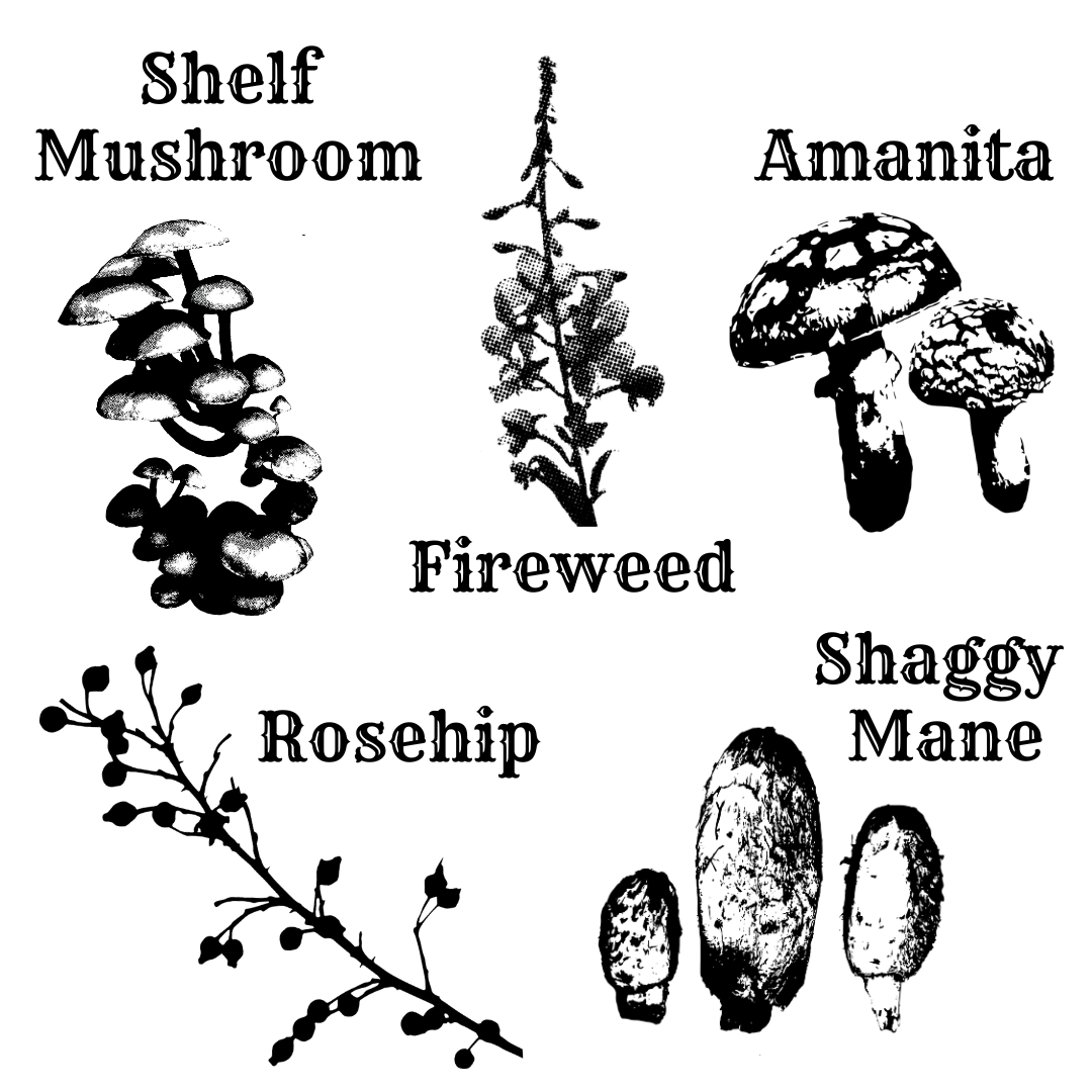 Togo Cup - Mushroom/Floral **Presale**