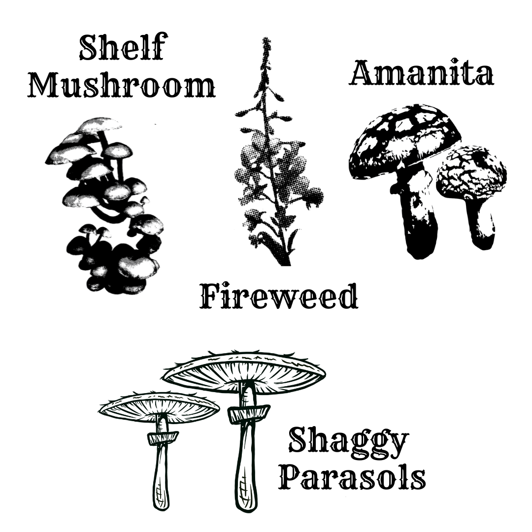 Mini Oil Bottle - Mushroom/Floral - Presale