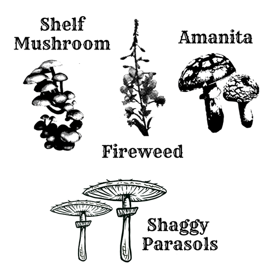 Mini Oil Bottle - Mushroom/Floral - Presale