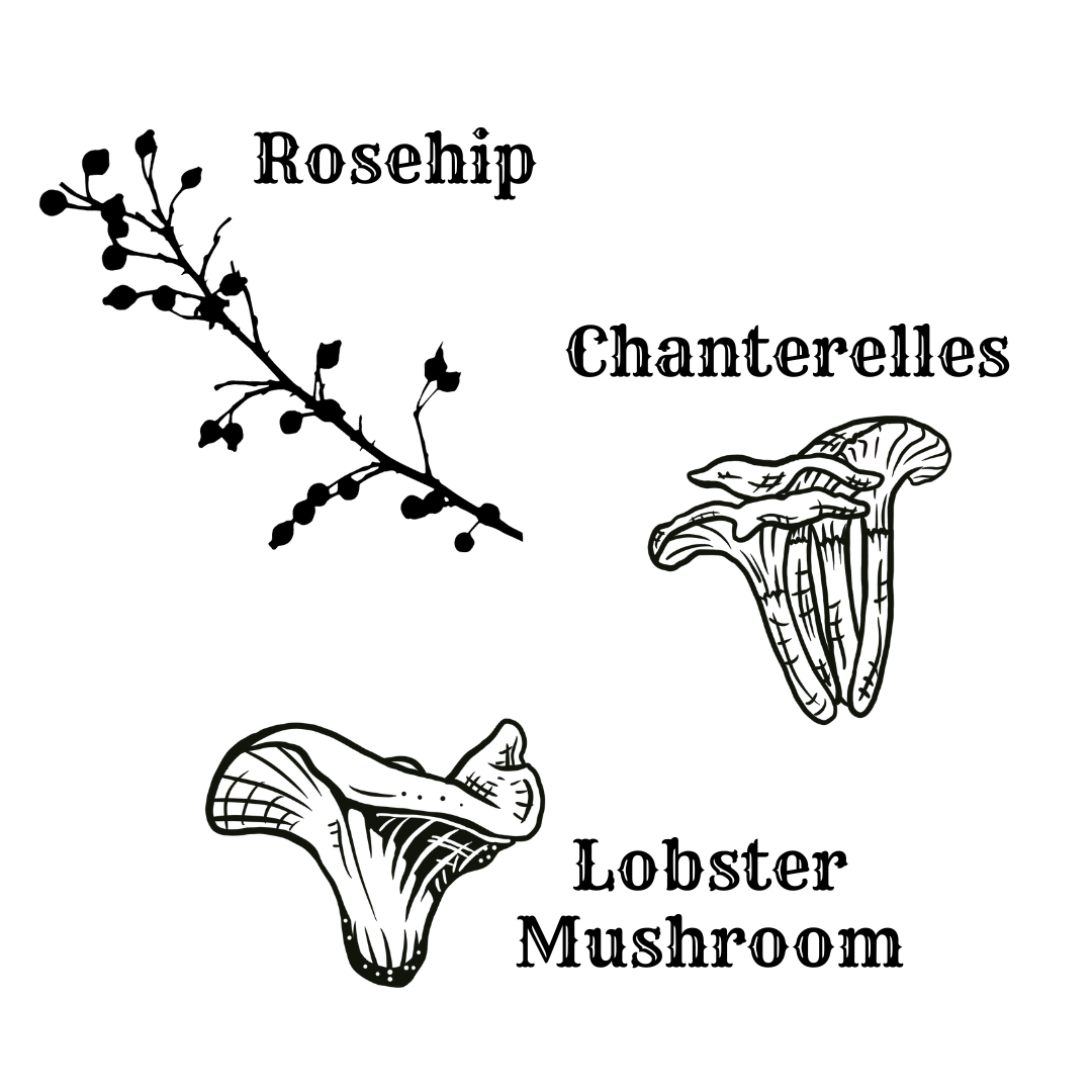 Mini Oil Bottle - Mushroom/Floral - Presale