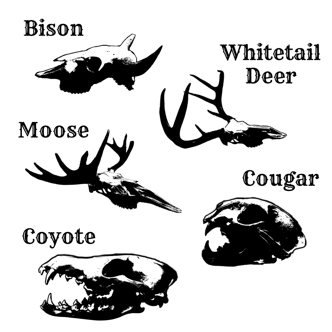 Wholesale Butter Bell (Skulls)
