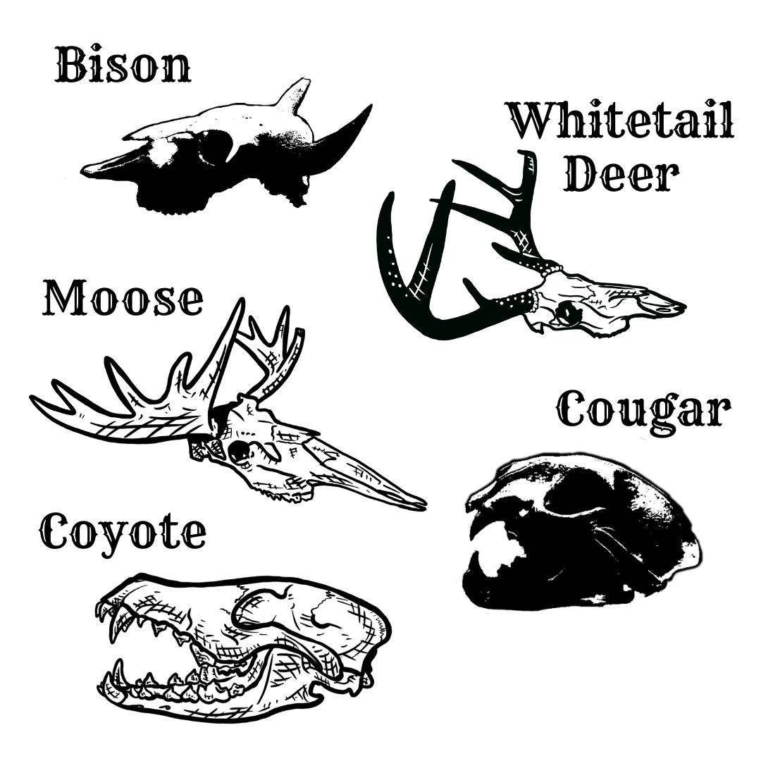 Mini Oil Bottle - Skulls - Presale