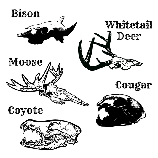 Mini Oil Bottle - Skulls - Presale