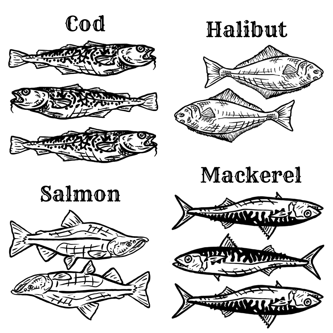 Narrow Fish Mug **Presale**