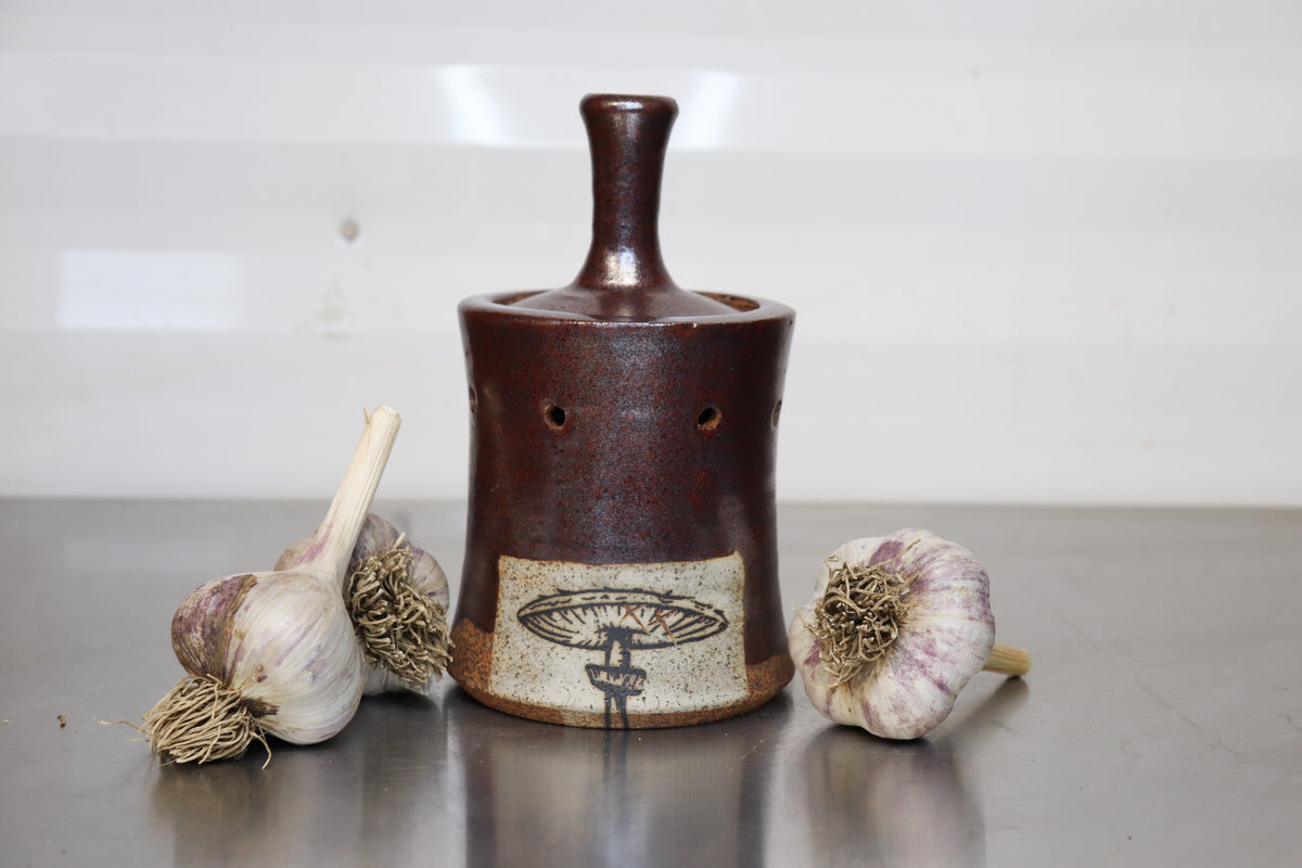 Garlic Keeper - Shaggy Parasol