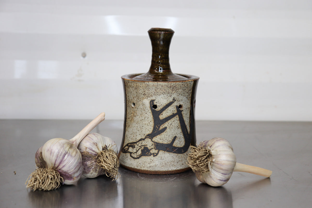 Garlic Keeper - Whitetail Deer Skull